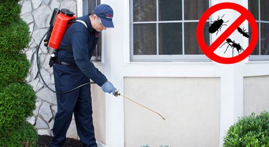 Foça Böcek İlaçlama böcek ilaçlama ve haşere kontrolü — ilaclama-tr.com